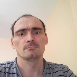 Сергей Величко, 43 года, Новосибирск