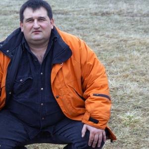 Andrias, 56 лет, Томск