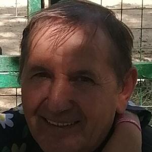 Андрей, 64 года, Таганрог