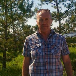 Александр Тиркин, 67 лет, Самара