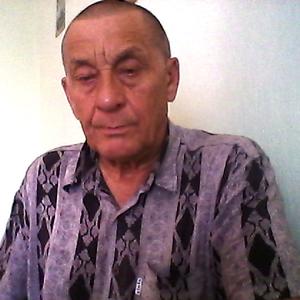 Михаил, 67 лет, Ульяновск