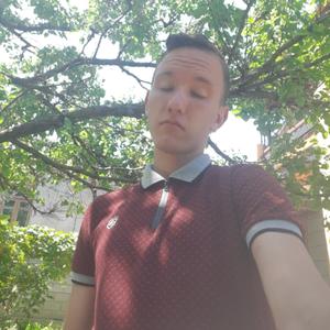 Алексей Степанов, 24 года, Кривой Рог