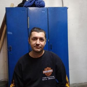 Владимир Вербицкий, 49 лет, Подольск