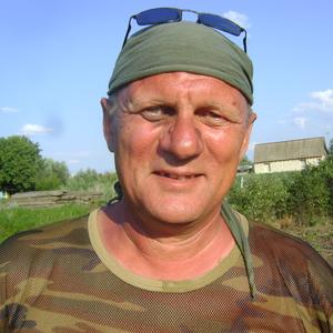 Андрей, 63 года, Камышин