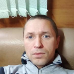 Евгений, 39 лет, Талица