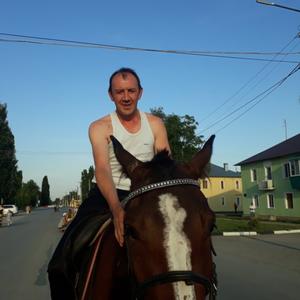 Андрей Сыч, 49 лет, Безенчук