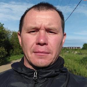 Николай, 48 лет, Санкт-Петербург