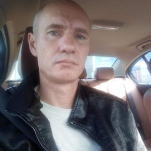 Николай, 42 года, Подольск