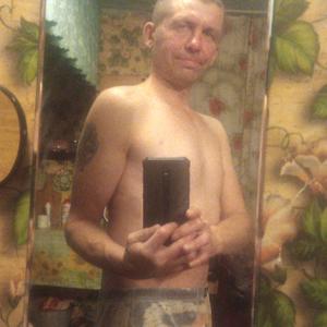 Серёга, 42 года, Горно-Алтайск