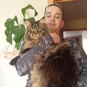 Парни в Мурманске: Алексей Жураковский, 34 - ищет девушку из Мурманска