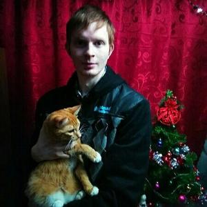 Парни в Вологде: Игорь, 29 - ищет девушку из Вологды