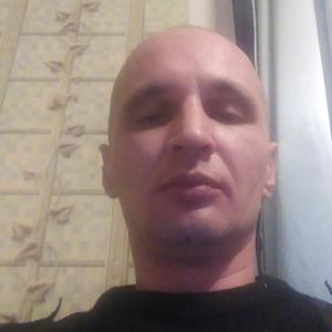 Дмитрий Носков, 41 год, Кострома