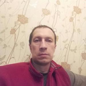 Дима Д, 43 года, Великий Устюг