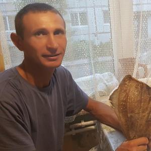 Антон, 43 года, Мурманск