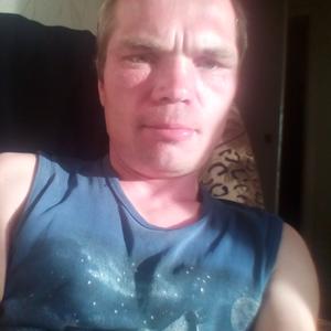 Алексей, 42 года, Петушки