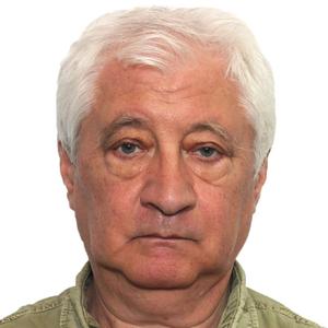 Илья, 75 лет, Москва