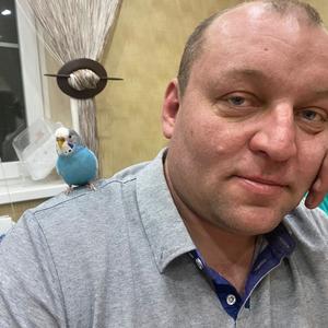Василий, 44 года, Пущино