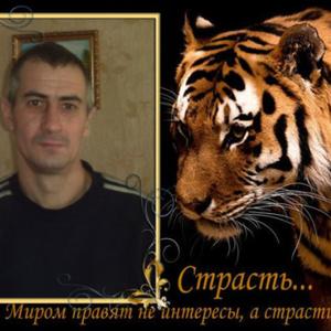 Парни в Новокузнецке: Андрей Машкеев, 50 - ищет девушку из Новокузнецка