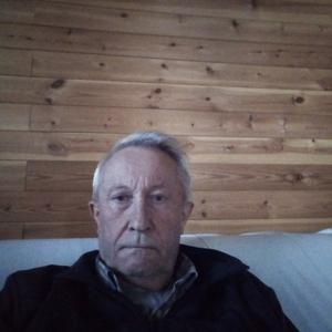 Парни в Ульяновске: Евгений, 63 - ищет девушку из Ульяновска