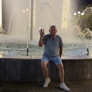 Андрей, 60 лет, Тула