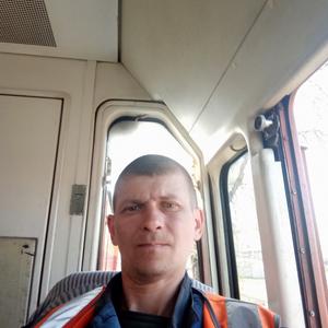 Роман, 43 года, Таганрог
