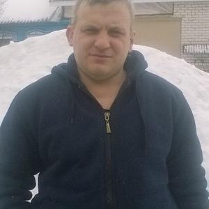 Владимир, 47 лет, Воронеж