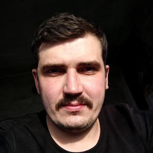 Дмитрий, 32 года, Топчиха