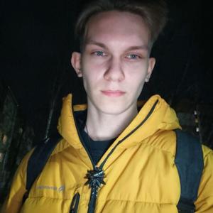 Артём, 22 года, Ярославль