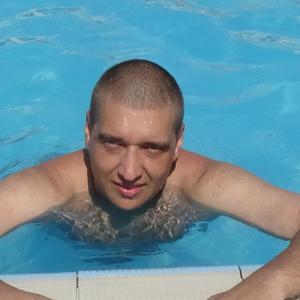 Игорь, 41 год, Саранск