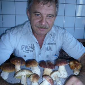 Алексей, 65 лет, Белгород