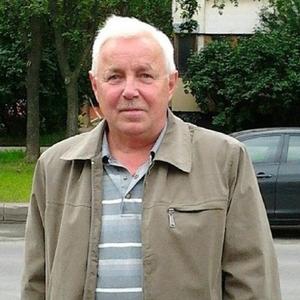Сергей Стерлягов, 68 лет, Санкт-Петербург