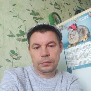 Вова, 44 года, Пермь