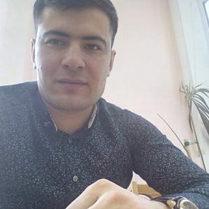 Сафар, 27 лет, Витебск