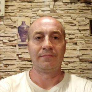 Евгений Лазарев, 43 года, Михнево