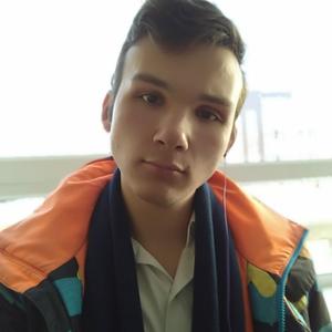 Артур, 25 лет, Новосибирск