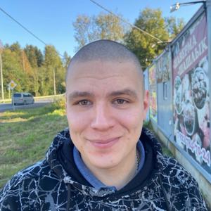 Andrej Bazhenov, 29 лет, Выборг