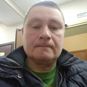 Ринат Ахметов, 45 лет, Алкино-2