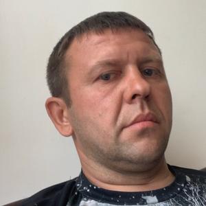 Павел, 38 лет, Волосово