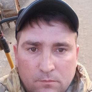 Николай, 36 лет, Курганинск
