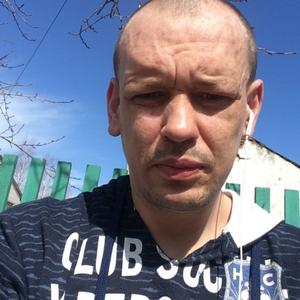 Парни в Сегеже: Алексей, 36 - ищет девушку из Сегежи