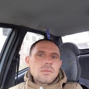 Михаил, 36 лет, Тула