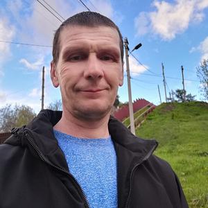 Денис, 43 года, Александров