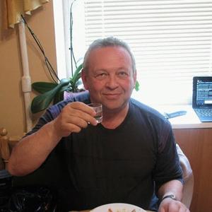 Александр, 64 года, Калининград