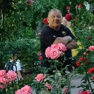 Валентин, 66 лет, Москва