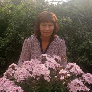 Валентина, 71 год, Екатеринбург