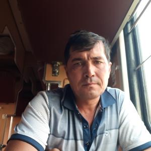 Владимир, 54 года, Голышманово