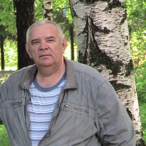Анатолий Симонов, 63 года, Аша