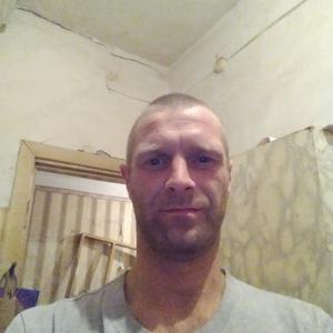 Алексей, 36 лет, Архангельск