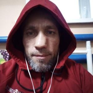 Павел, 45 лет, Емельяново