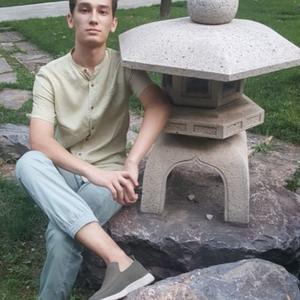 Хасан, 23 года, Ташкент